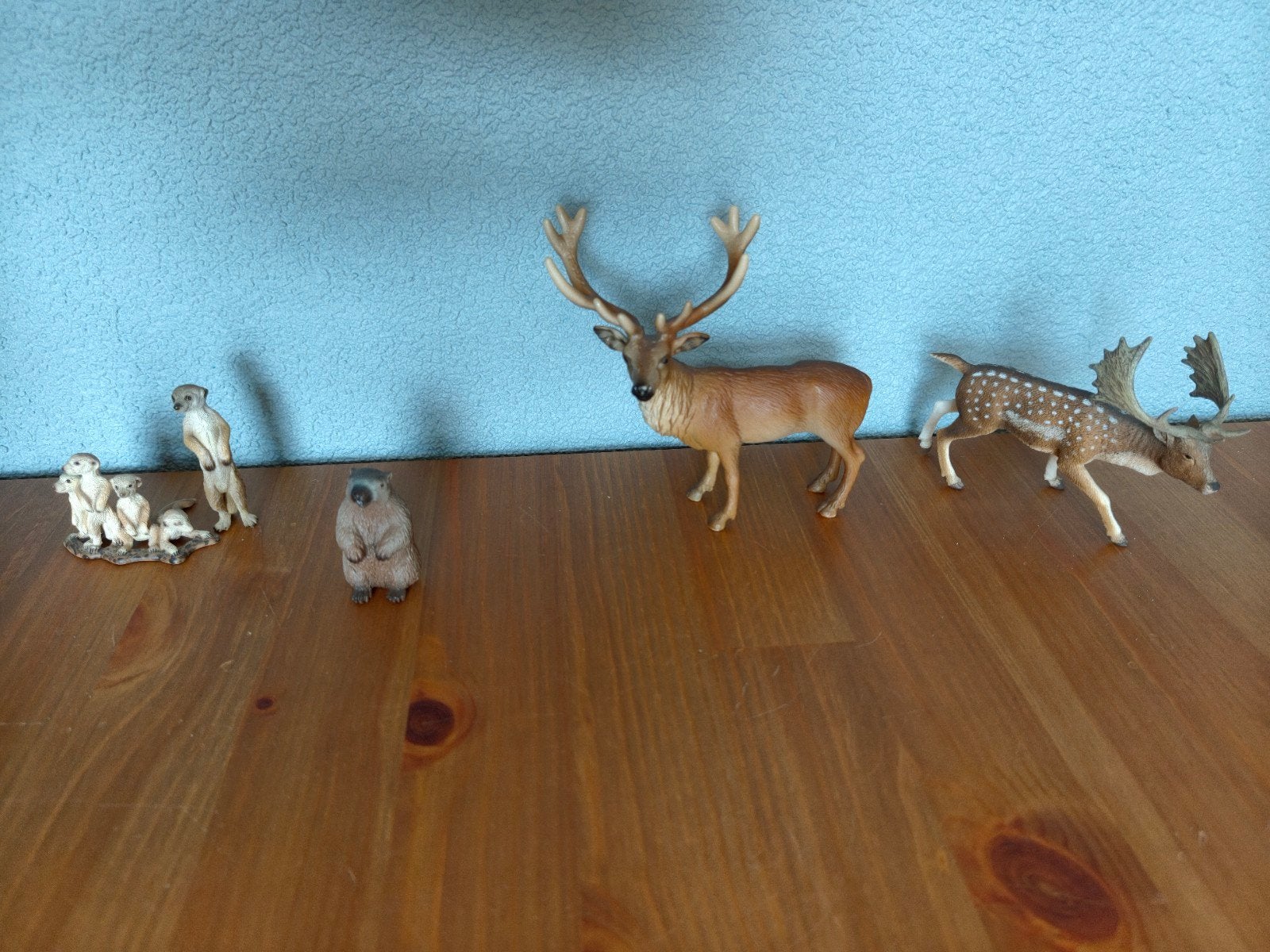 Wildlife (Schleich / Papo  / Collecta), Ophalen of Verzenden, Beeldje of Figuurtje