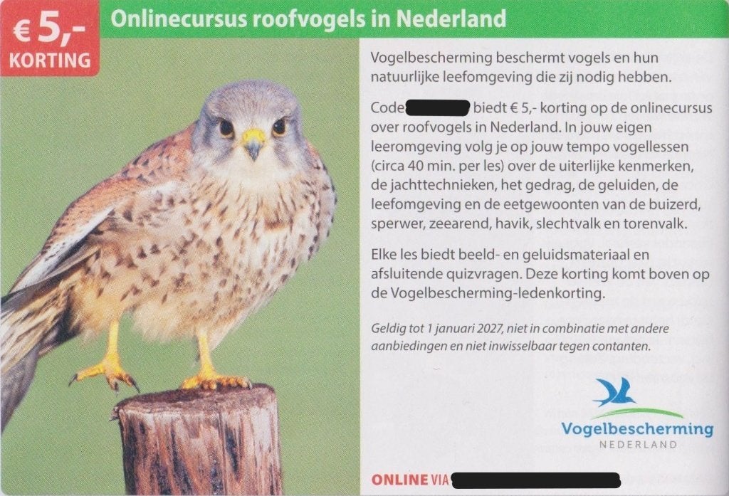 Onlinecursus roofvogels in Nederland. € 5,- korting., Eén persoon, Kortingsbon