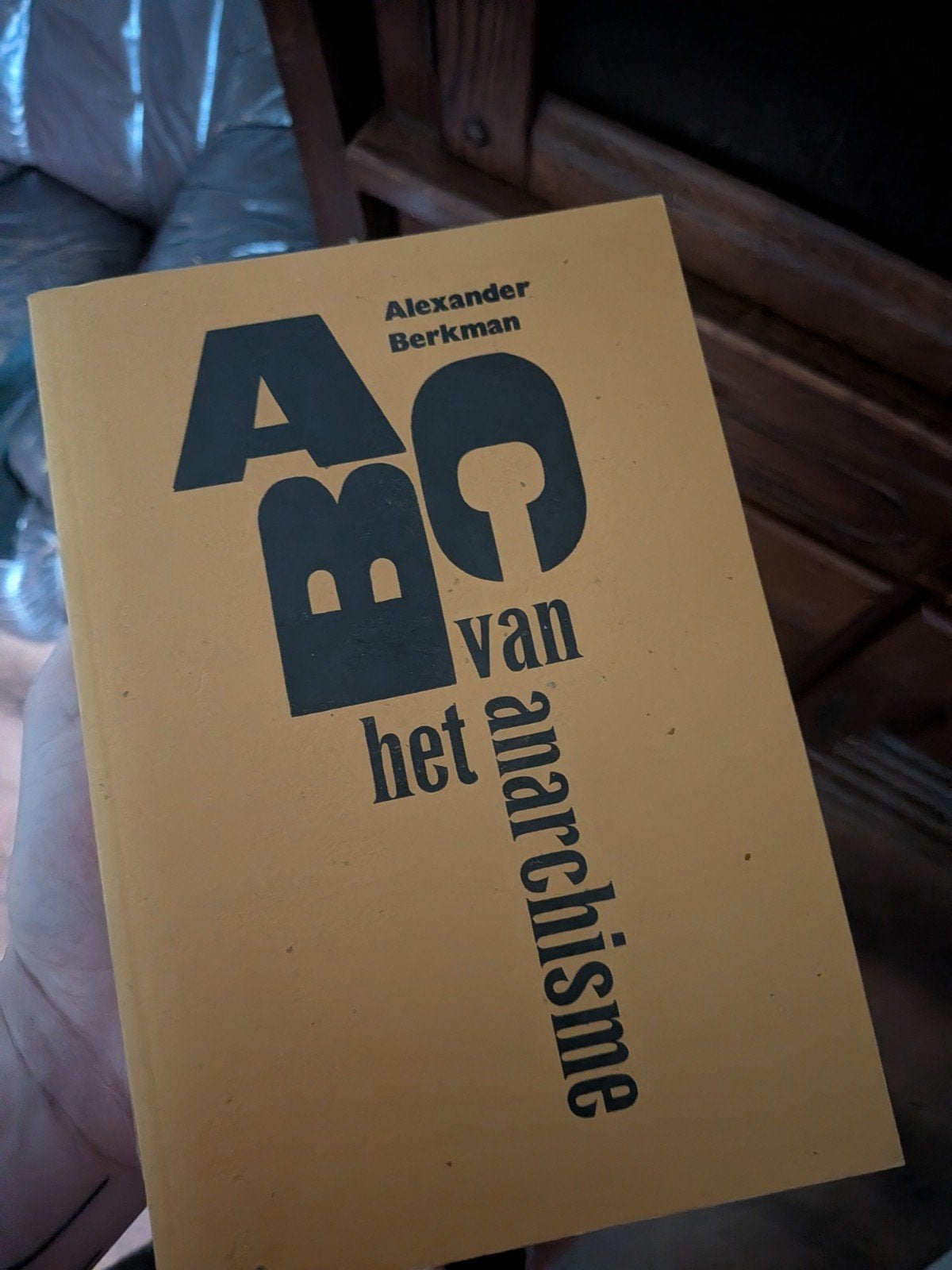 ABC van het Anarchisme - Alexander Berkman, Gelezen, Alexander Berkman, Ophalen of Verzenden, Politiek en Staatkunde