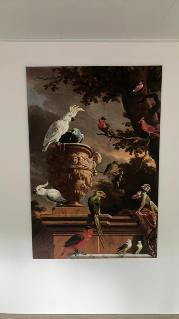 Prachtig canvas mooie groote afmeting Melchior d'Hondecoeter, Ophalen