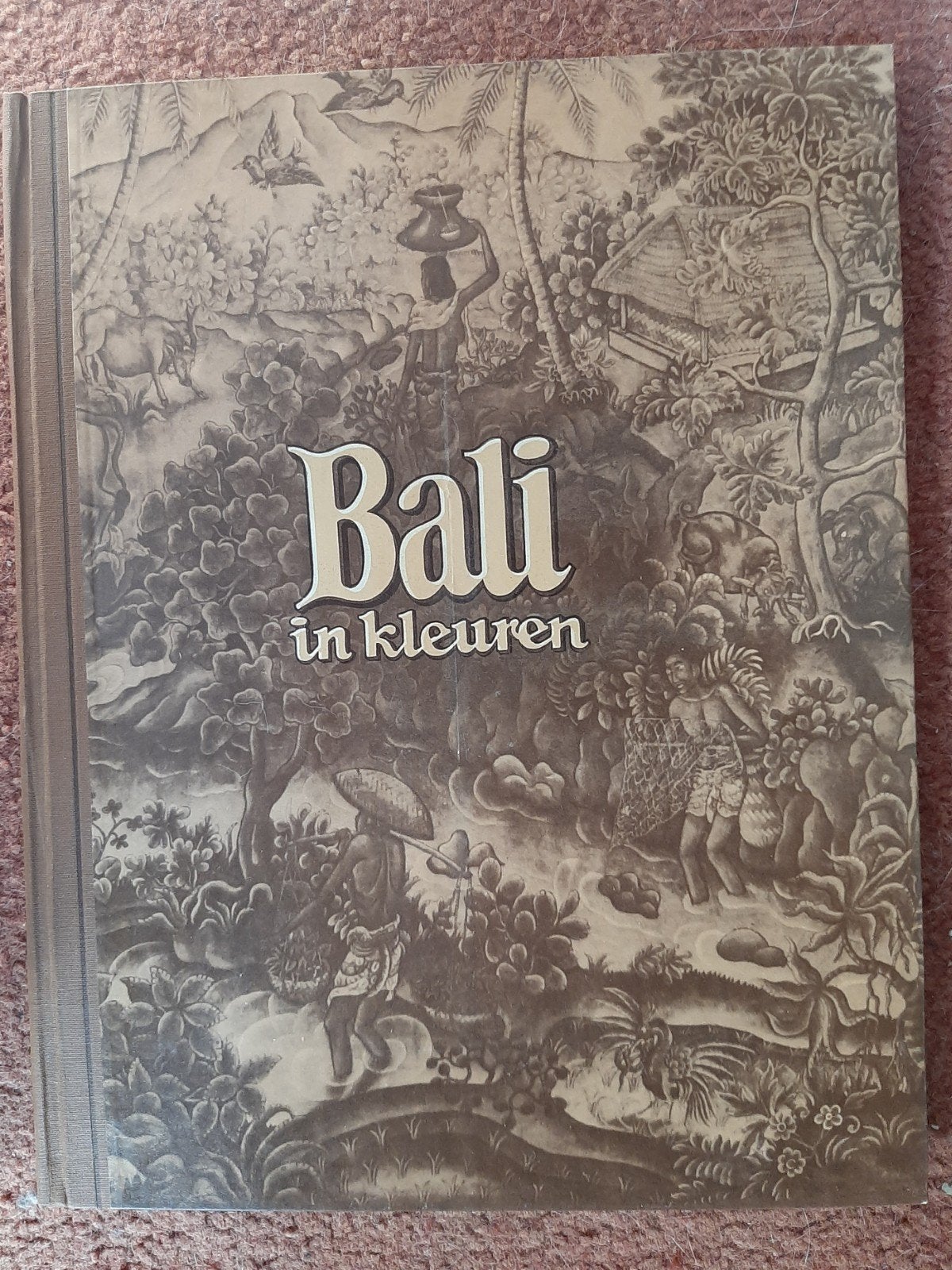 Douwe Egberts plaatjes boeken., Ophalen of Verzenden, Gelezen, Plaatjesalbum