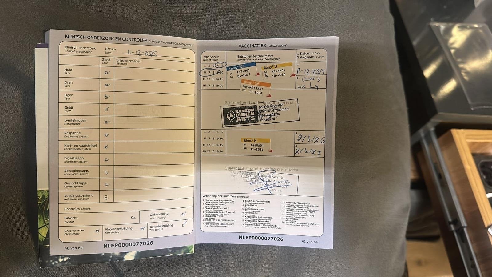 K9 hond met paspoort en diploma, Dieren en Toebehoren, Honden | Niet-rashonden, Nederland, CDV (hondenziekte), 1 tot 2 jaar, Geslacht onbekend