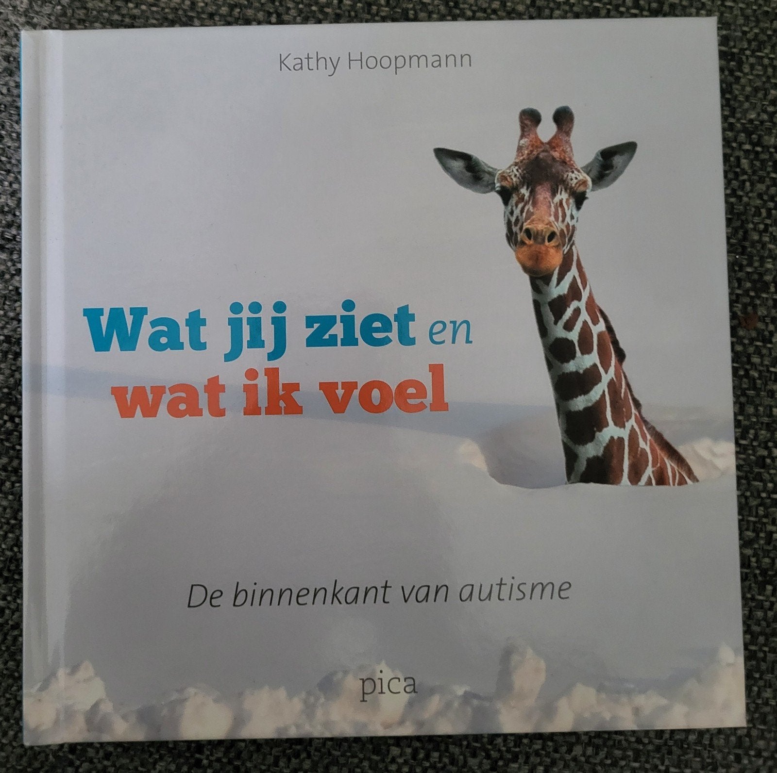 Wat jij ziet en wat ik voel - De binnenkant van autisme., Ophalen of Verzenden, Zo goed als nieuw, Kathy Hoopmann, Overige onderwerpen