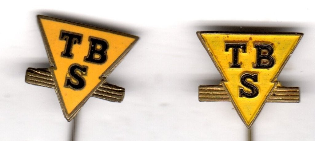 Speldje TBS SOEST PUTDEKSELS (A9), Ophalen of Verzenden, Gebruikt, Overige onderwerpen