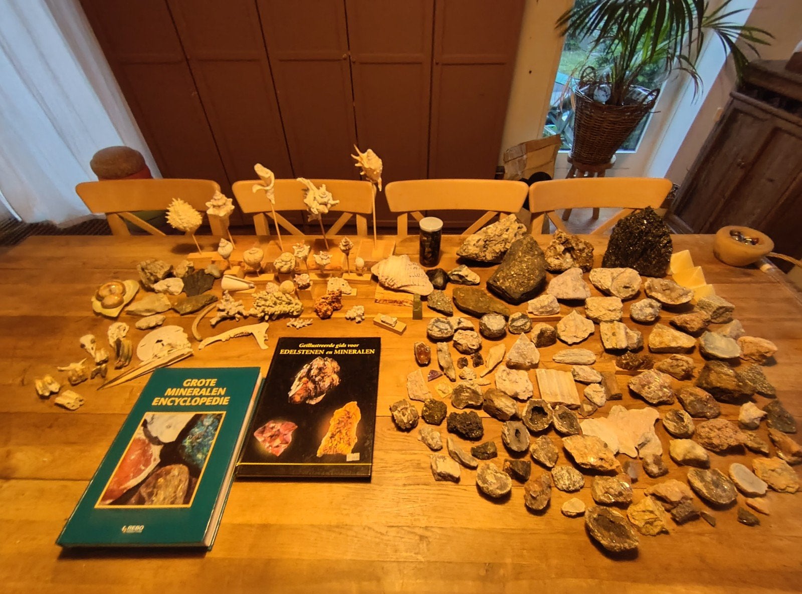 schelpen, koraal, botten, fossielen, mineralen en kristallen, Ophalen