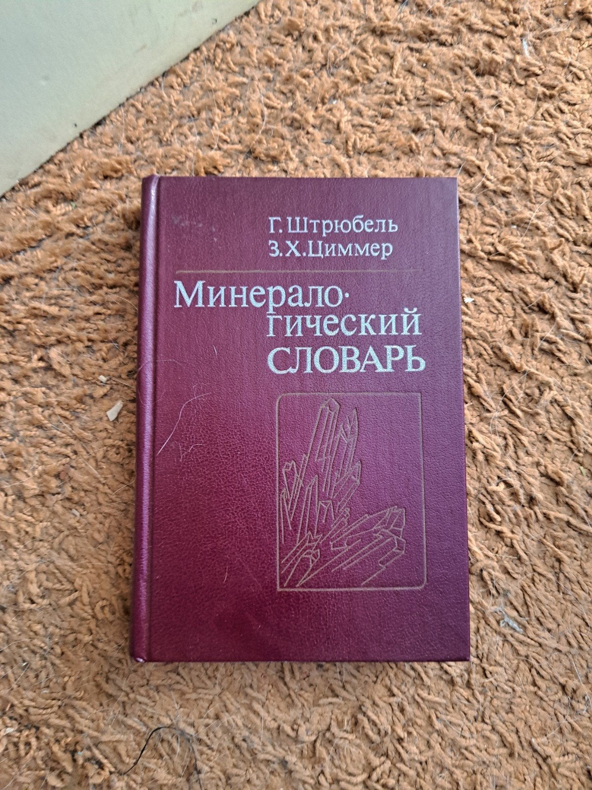 Mineraal Woordenboek - G. Strübel & Z. Zimmer, Boeken, Ophalen of Verzenden
