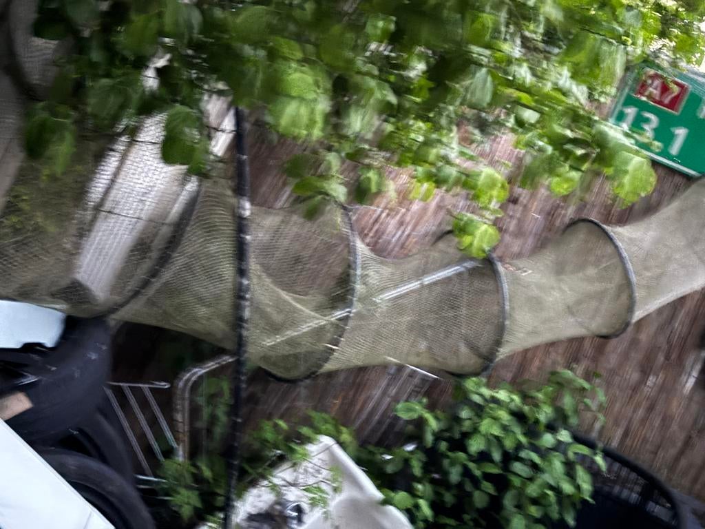 Paling Visfuik - Gebruikt, Ophalen of Verzenden, Gebruikt, Net of Fuik