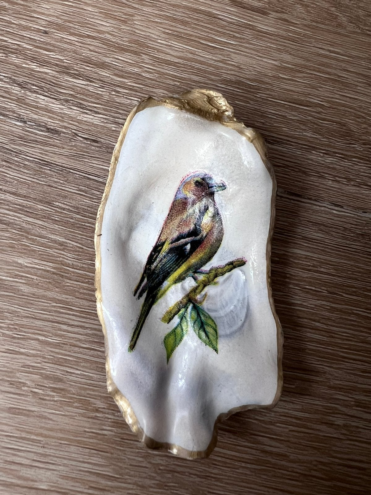 Oesterschelpje met Puttertje, Ophalen of Verzenden, Schelp(en)