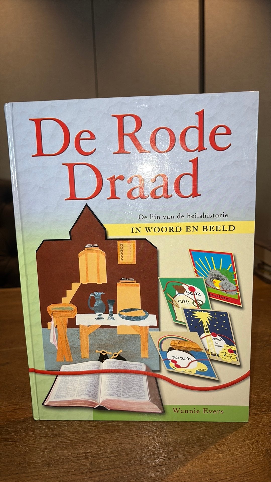Wennie Evers - Werkboek De rode draad, Ophalen of Verzenden, Zo goed als nieuw, T. Evers, Non-fictie