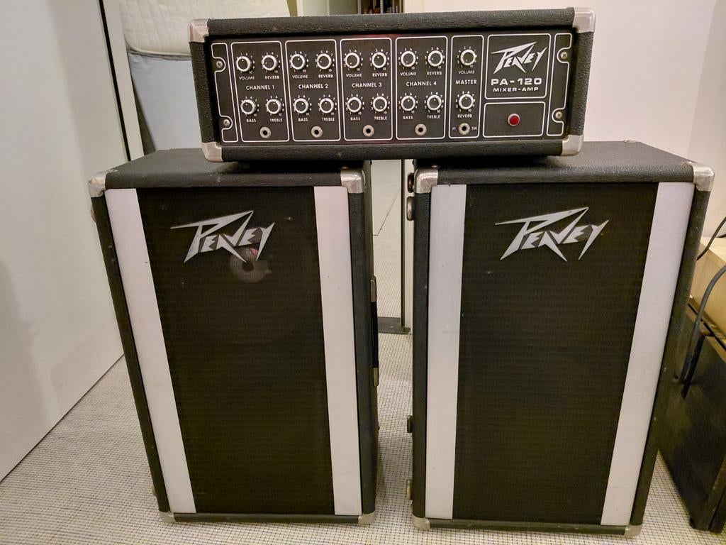 Peavey PA Systeem luidsprekers jaren 70 in Goede Staat, Ophalen, Gebruikt, Minder dan 500 watt