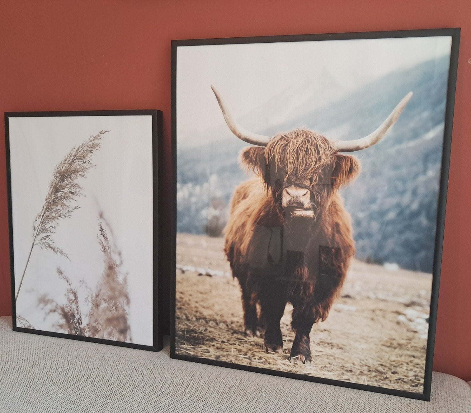 Set van 2 ingelijste prints: Schotse Hooglander en pluimen, Ophalen, 50 – 75, 50 tot 75 cm, Print