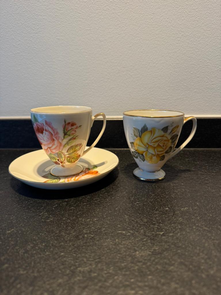 Kop en schoten Petrus Regout, Ophalen of Verzenden
