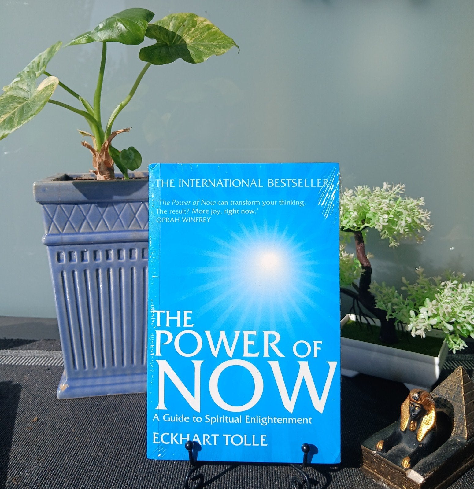 The Power of Now - Eckhart Tolle (Engels), Achtergrond en Informatie, Spiritualiteit algemeen, Ophalen of Verzenden, Zo goed als nieuw