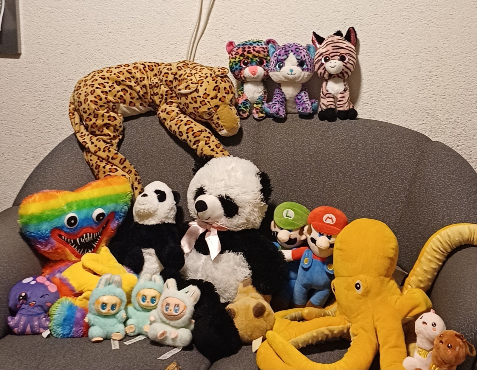 knuffels, je mag bieden welke je wil, Ophalen