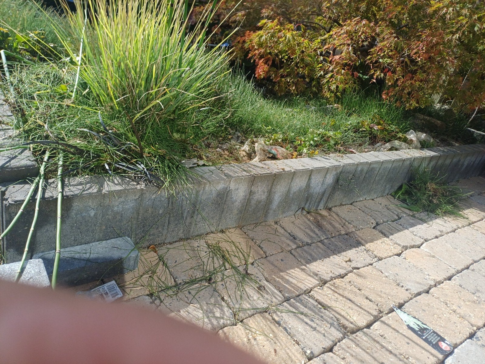 17 lichtgrijze palissadebanden 50 br 25 hoog 8 cm diep grati, Tuin en Terras, Ophalen, Gebruikt, Beton, Overige typen