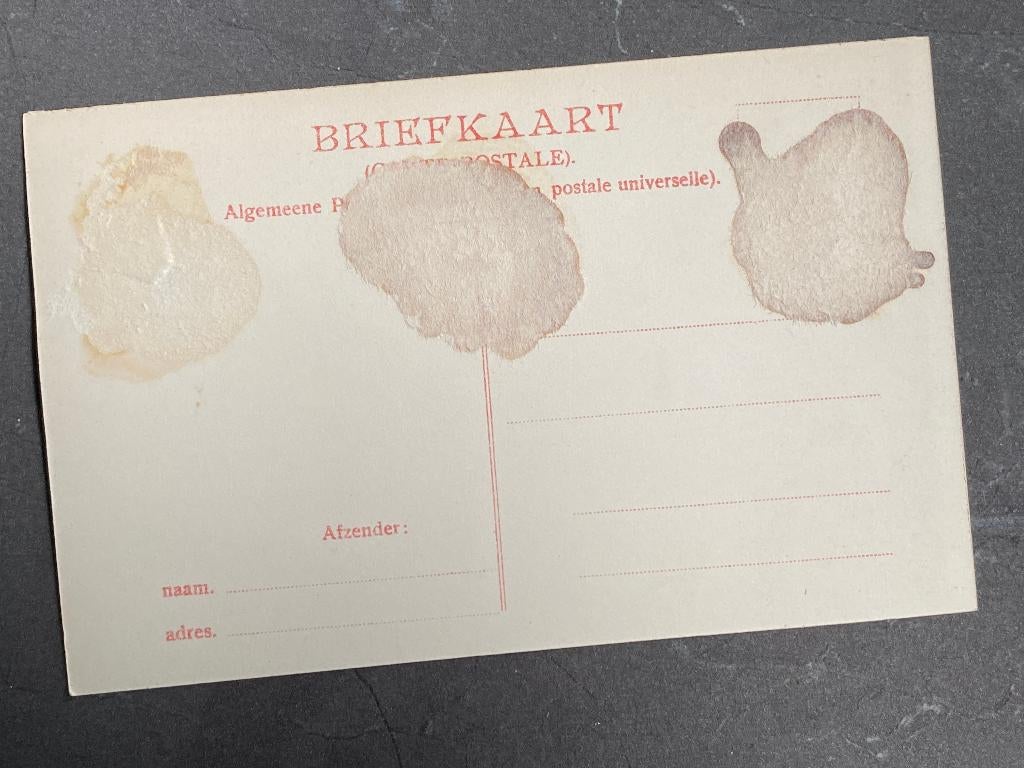Vroege ansichtkaart van de mare singel in Leiden, Ophalen of Verzenden, Voor 1920, Ongelopen, Zuid-Holland