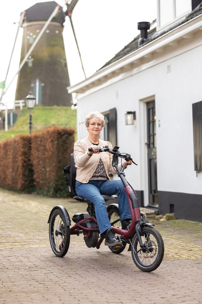 Gezocht Driewielfiets: Bijvoorbeeld Van raam easy rider, Ophalen of Verzenden, Zo goed als nieuw