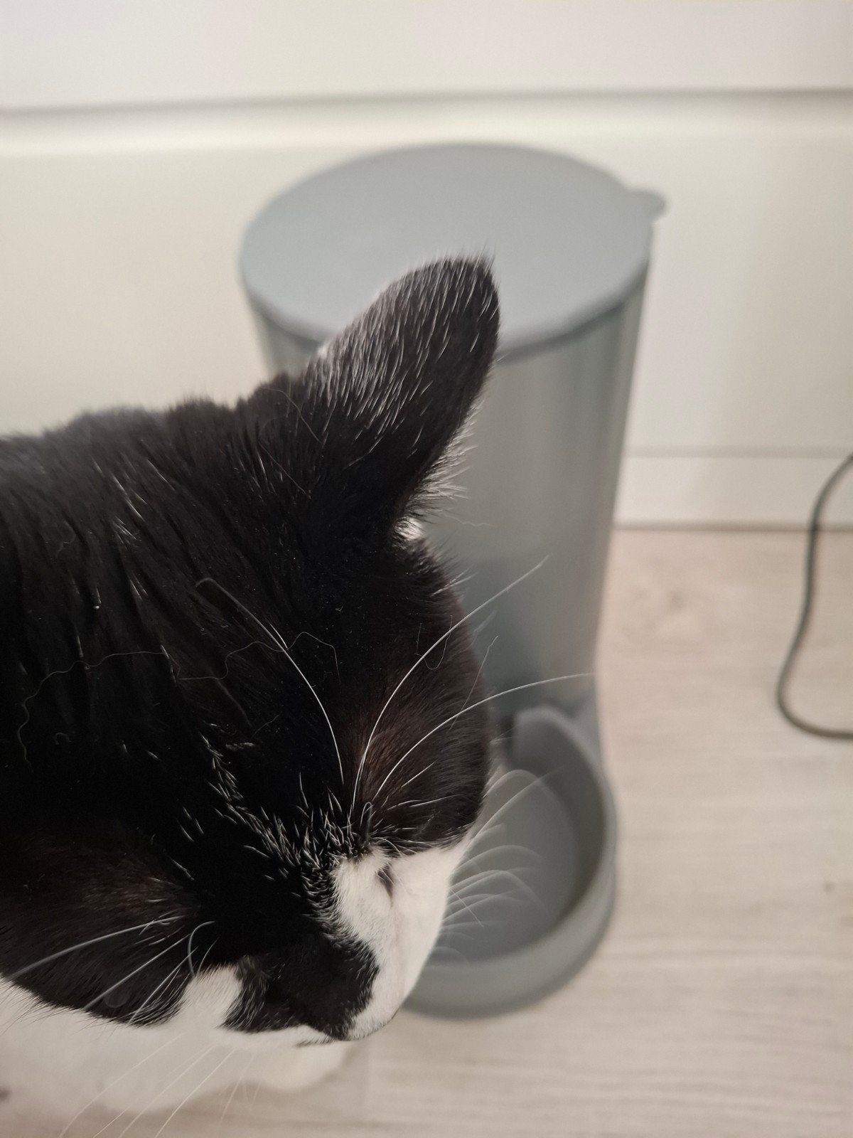 Als nieuwe Brokjestoren, Dieren en Toebehoren, Ophalen of Verzenden, Zo goed als nieuw