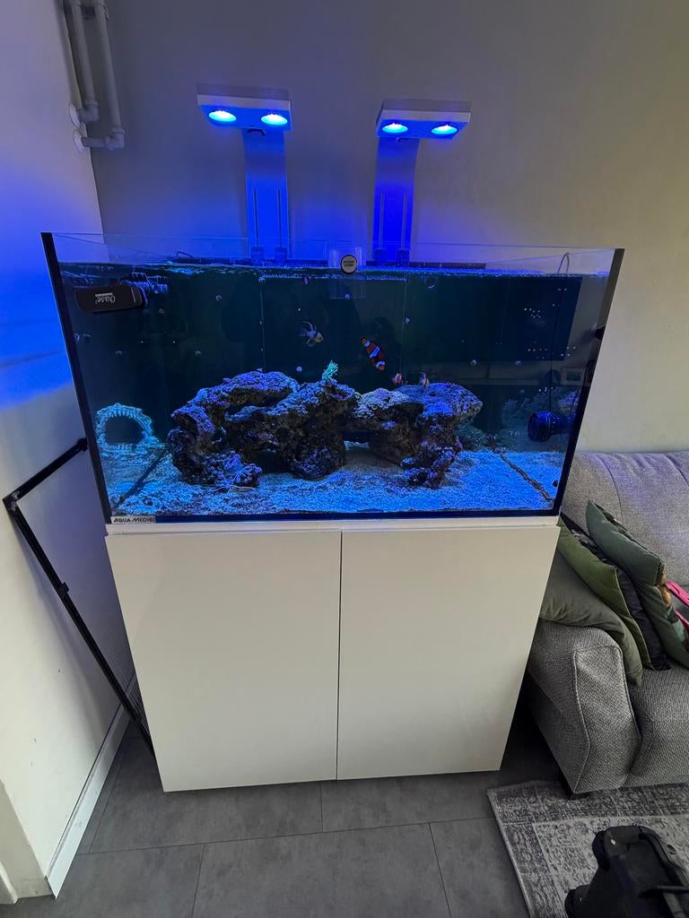 Zoutwateraquarium aqua medic armatus 375XD VASTE PRIJS €1000, Ophalen, Gevuld zeewateraquarium, Gebruikt, Inclusief vissen