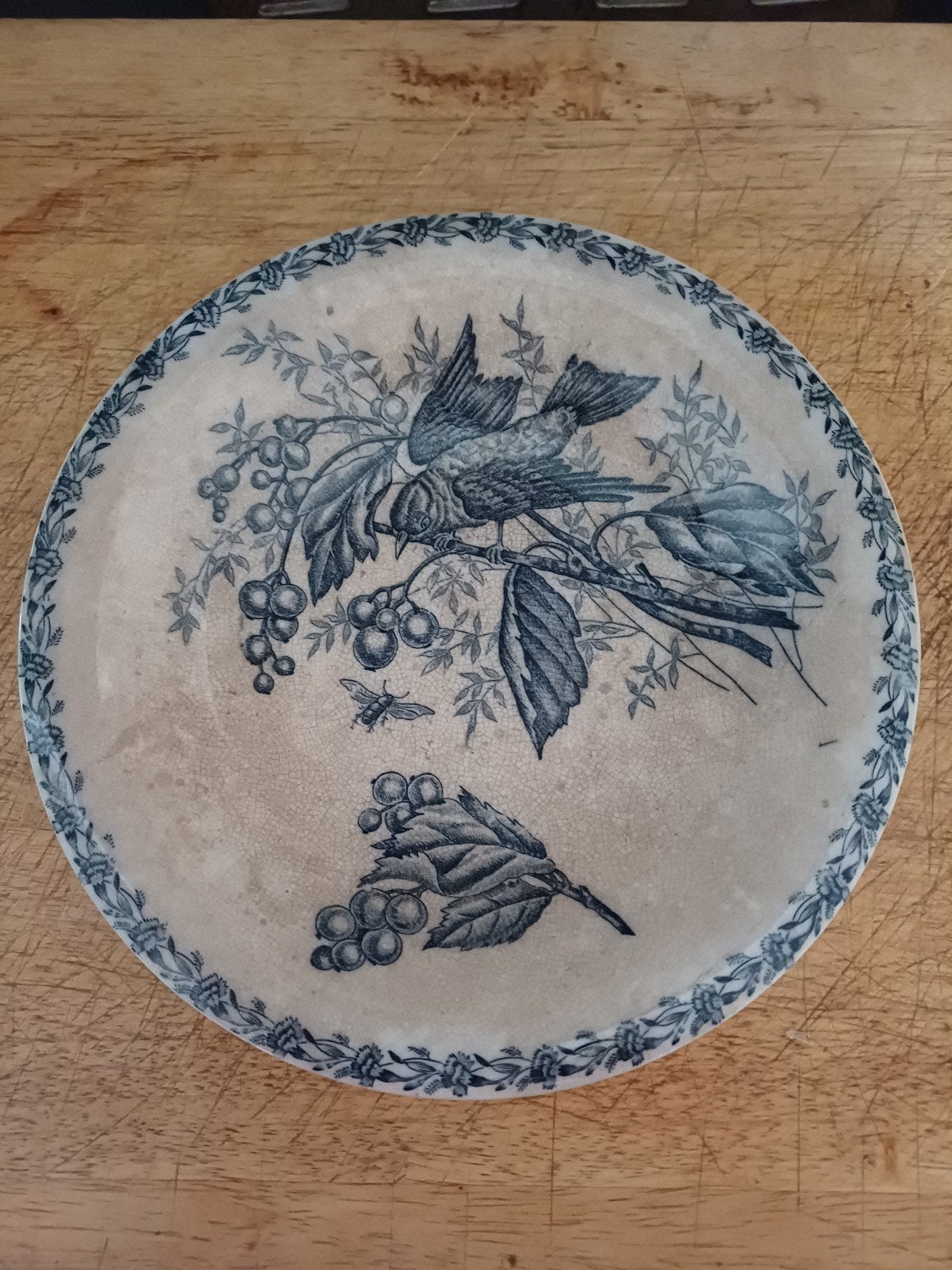 Antieke beboterde Franse Tazza Longwy decor Mesange Vogel, Verzenden