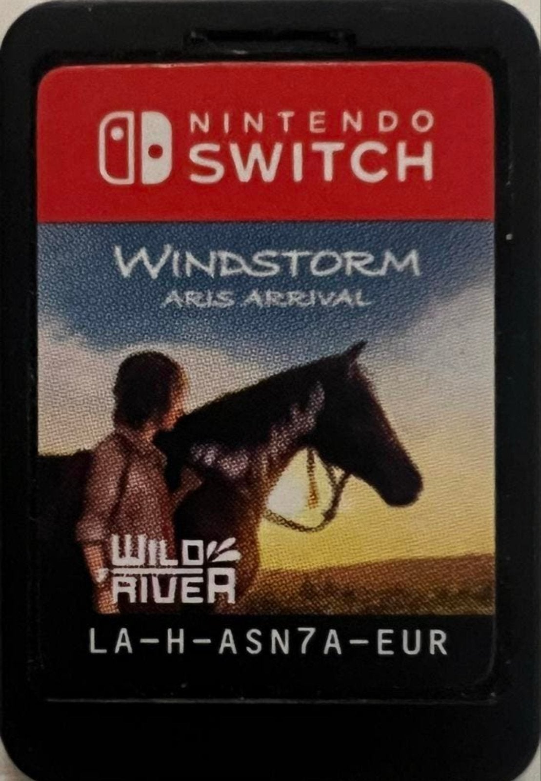 Windstorm: Ari's Arrival - Nintendo Switch Game, Ophalen of Verzenden, Zo goed als nieuw, Switch Original, Met games