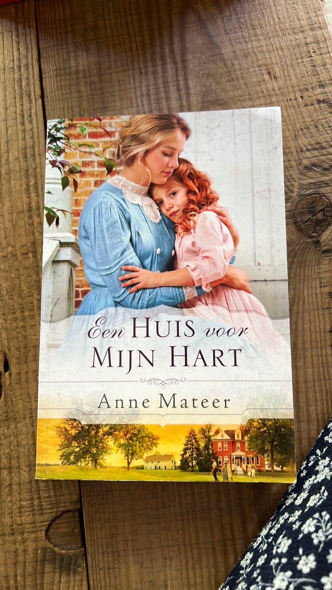 Anne Mateer - Dit is een huis voor mijn hart, Boeken, Ophalen of Verzenden, Zo goed als nieuw, Anne Mateer