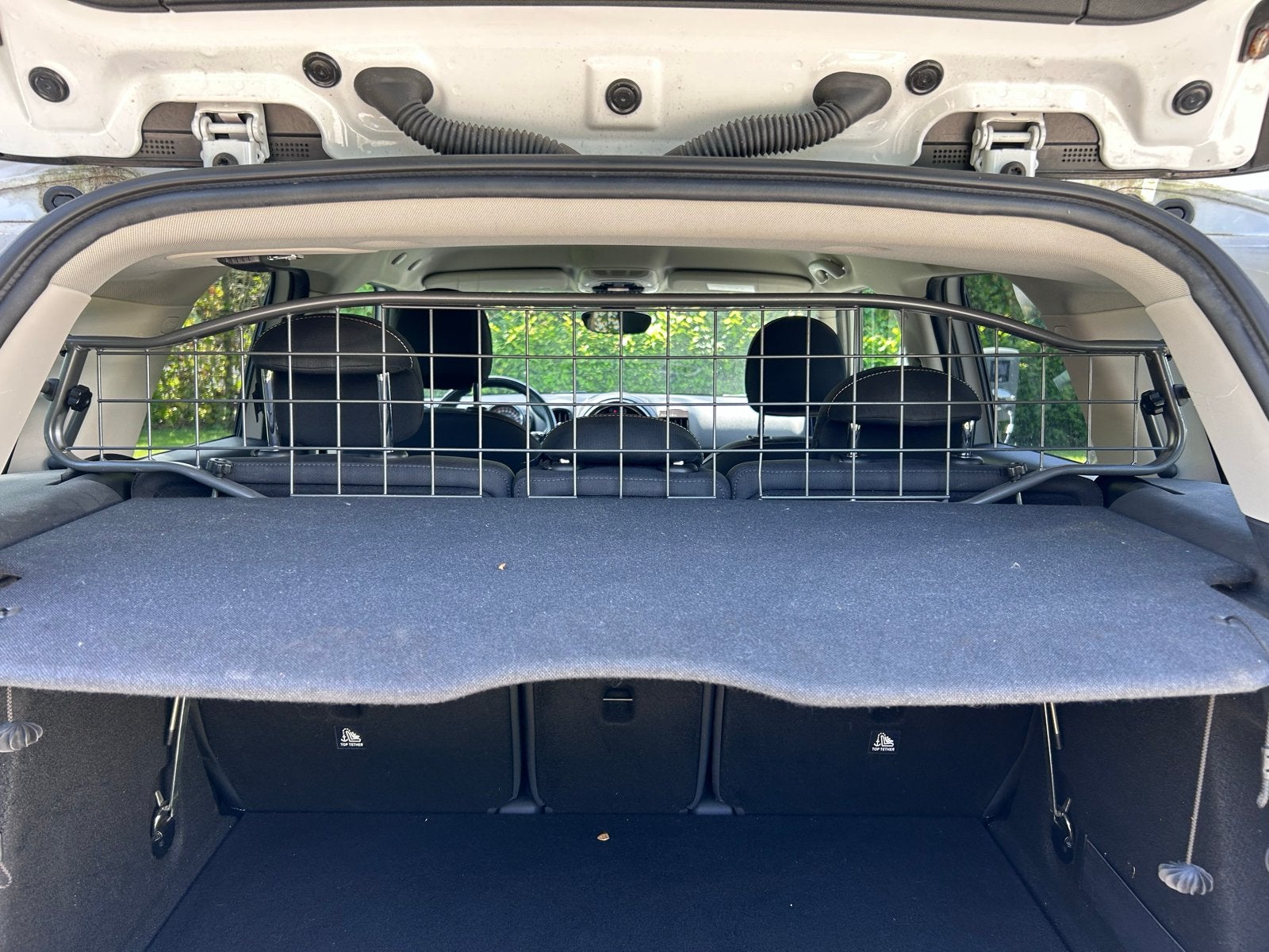 Travall Hondenrek voor Mini Countryman (2017-heden), Ophalen of Verzenden, Zo goed als nieuw