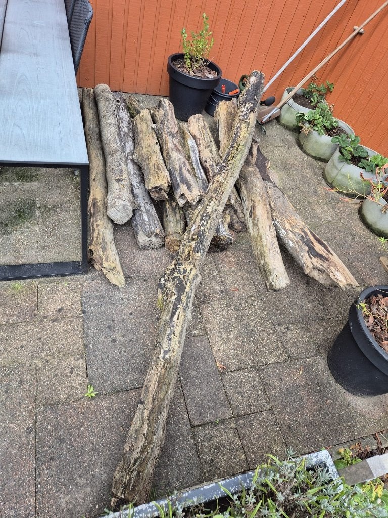 Boomstammen, Tuin en Terras, Haardhout, Minder dan 3 m³, Ophalen, Overige houtsoorten, Stammen