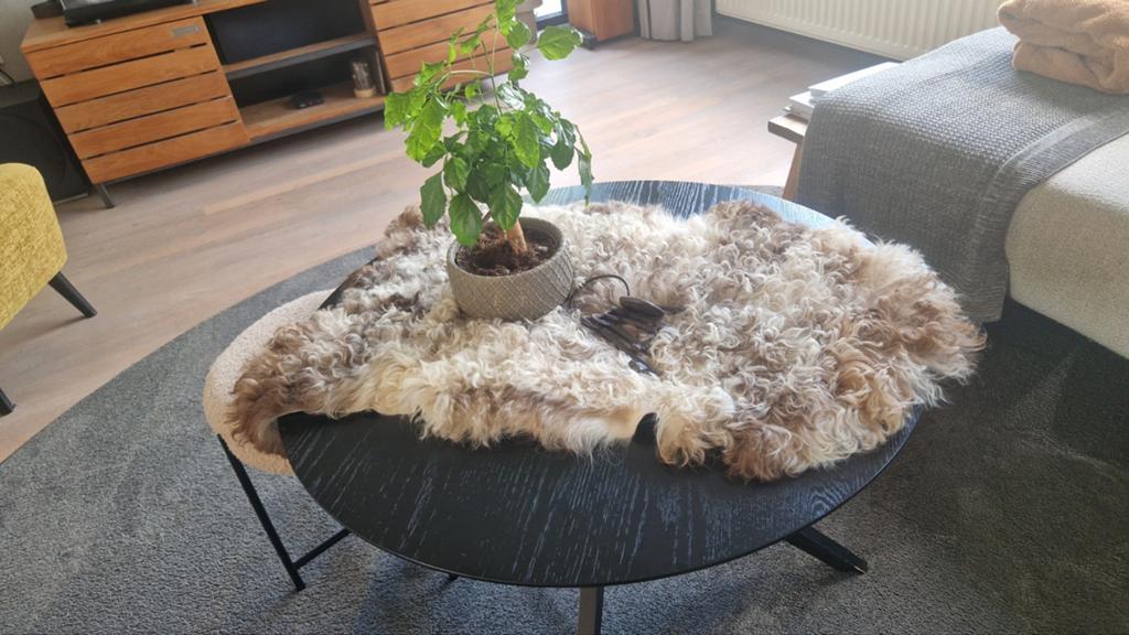 Mooi schapenvacht met krulletjes - ook met schaal te koop, Zo goed als nieuw, Overige vormen, Landelijk, Scandinavisch, Boho, 50 tot 100 cm
