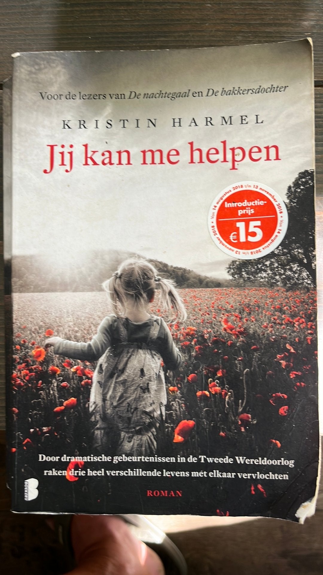 Kristin Harmel - Jij kan me helpen, Boeken, Ophalen of Verzenden, Gelezen, Kristin Harmel