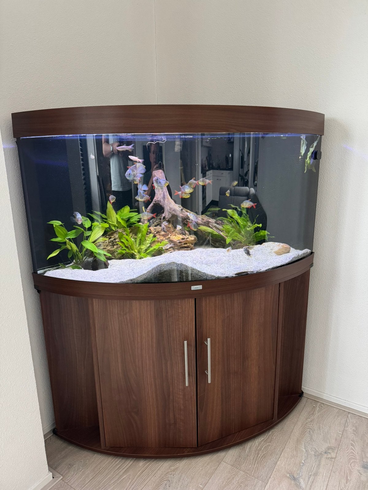 Juwel Trigon 350 Led aquarium., Dieren en Toebehoren, Vissen | Aquaria en Toebehoren, Ophalen, Gebruikt, Leeg aquarium, Juwel