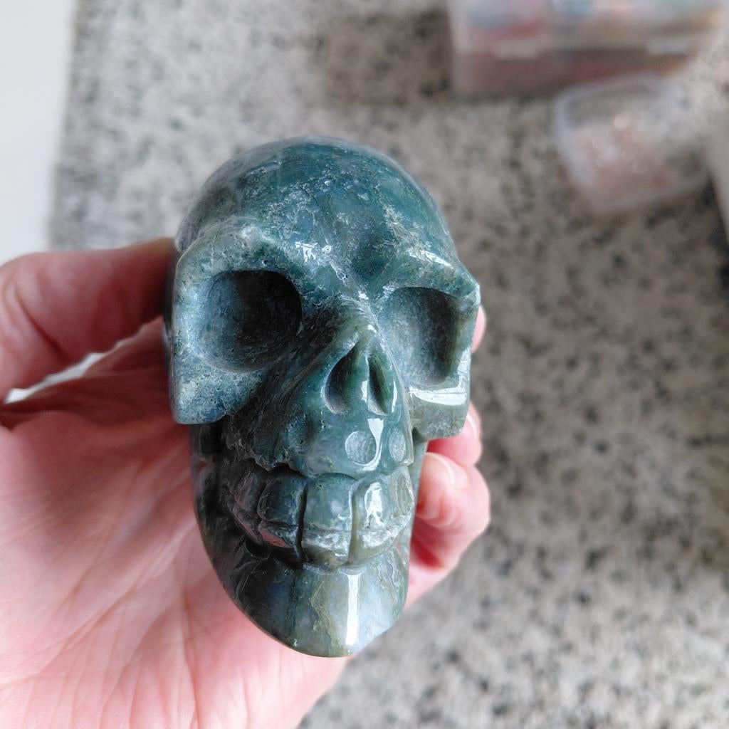 Mosagaat skull, Ophalen of Verzenden