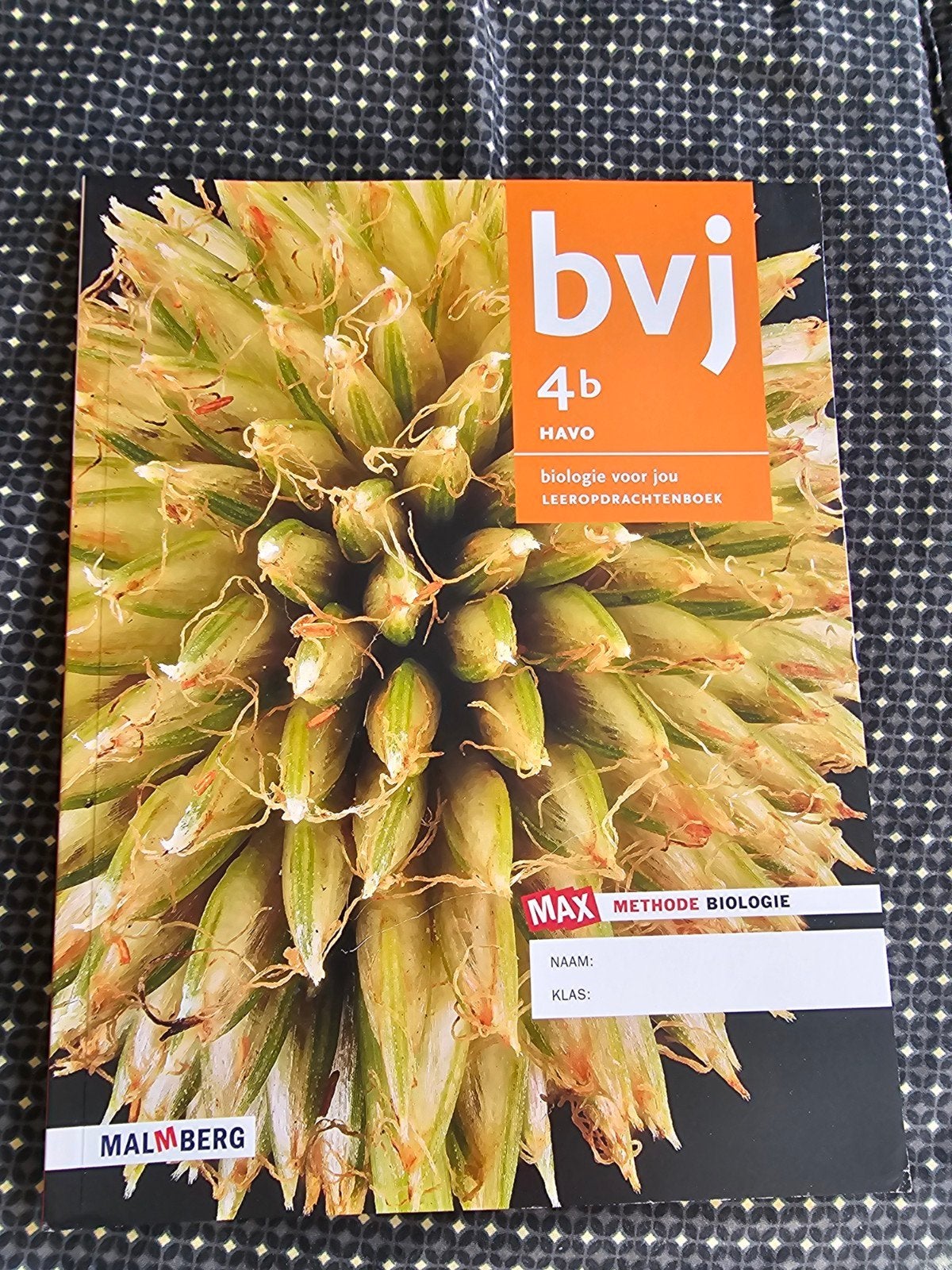 Biologie voor jou 4b HAVO Leeropdrachtenboek, Boeken, Ophalen of Verzenden, Gelezen, HAVO, Biologie