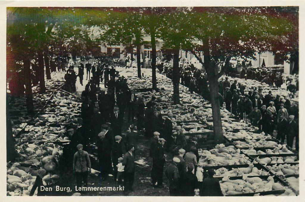 701-270-027 Den Burg Lammerenmarkt, Verzenden, Voor 1920, Noord-Holland