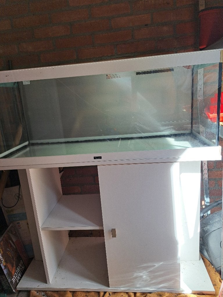 Terrarium, Ophalen, Gebruikt, Terrarium of Paludarium