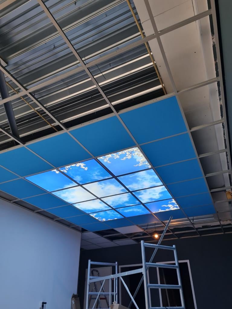 Systeemplafond Monteur, Ophalen of Verzenden, Nieuw
