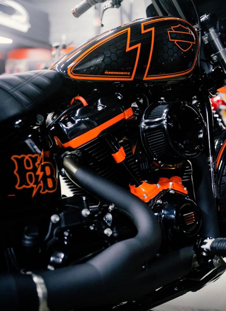 Harley Davidson softail custom Hundredboyz, Chopper, Particulier