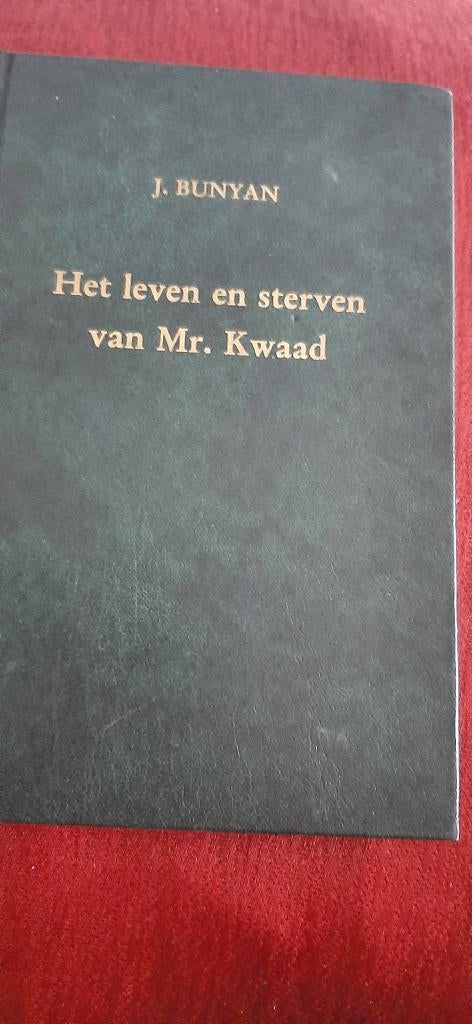16 theologische boeken à €2,50, Boeken, Ophalen of Verzenden, Zo goed als nieuw, Christendom | Protestants