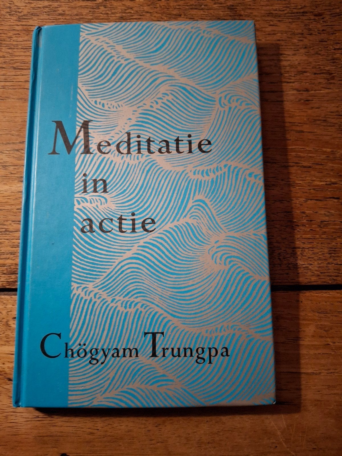 Trungpa - Meditatie in actie, Astrologie, Overige typen, Ophalen of Verzenden, Zo goed als nieuw