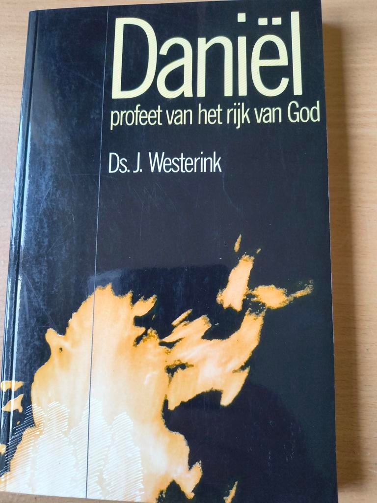 Daniel,profeet van het rijk van God. Ds J Westerink, Ds J Westerink, Christendom | Protestants, Ophalen of Verzenden, Zo goed als nieuw