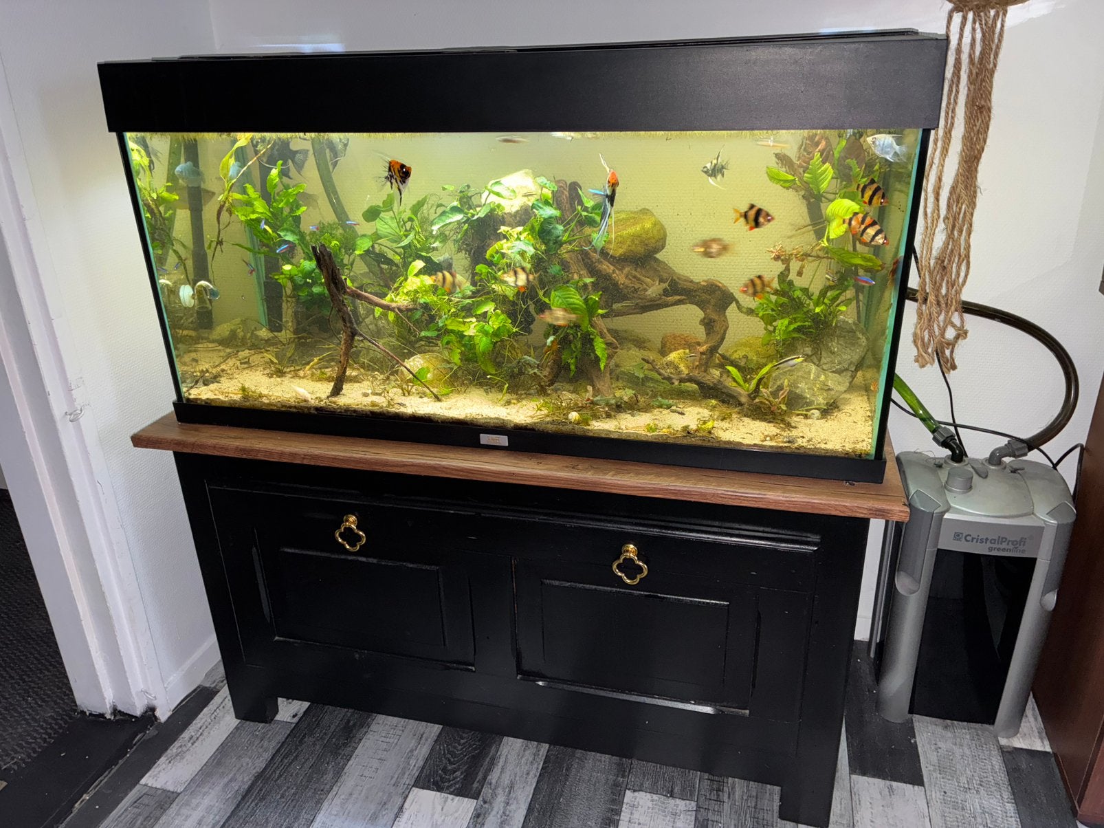Juwel aquarium 100cm met kast, vissen en toebehoren, Ophalen, Zo goed als nieuw, Gevuld zoetwateraquarium