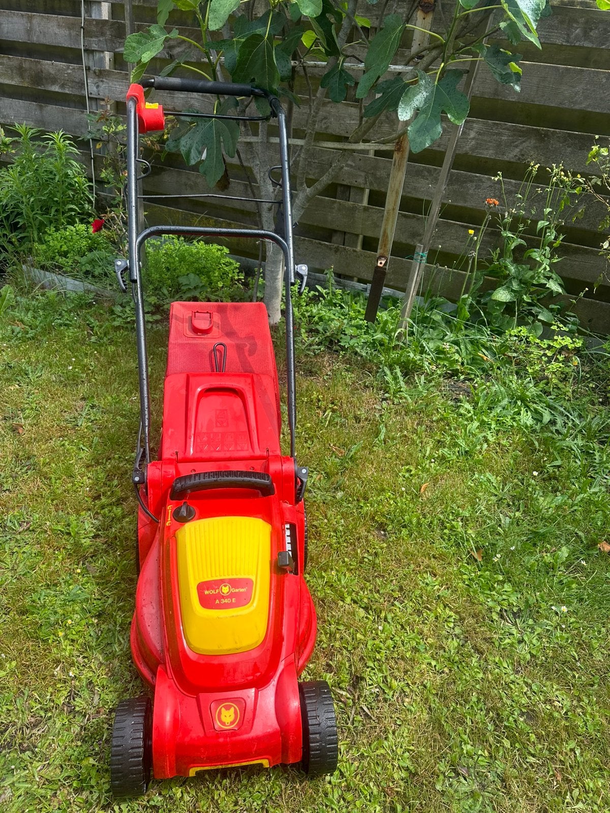 Te koop goede elektrische grasmaaier van Wolf, Ophalen of Verzenden, Zo goed als nieuw