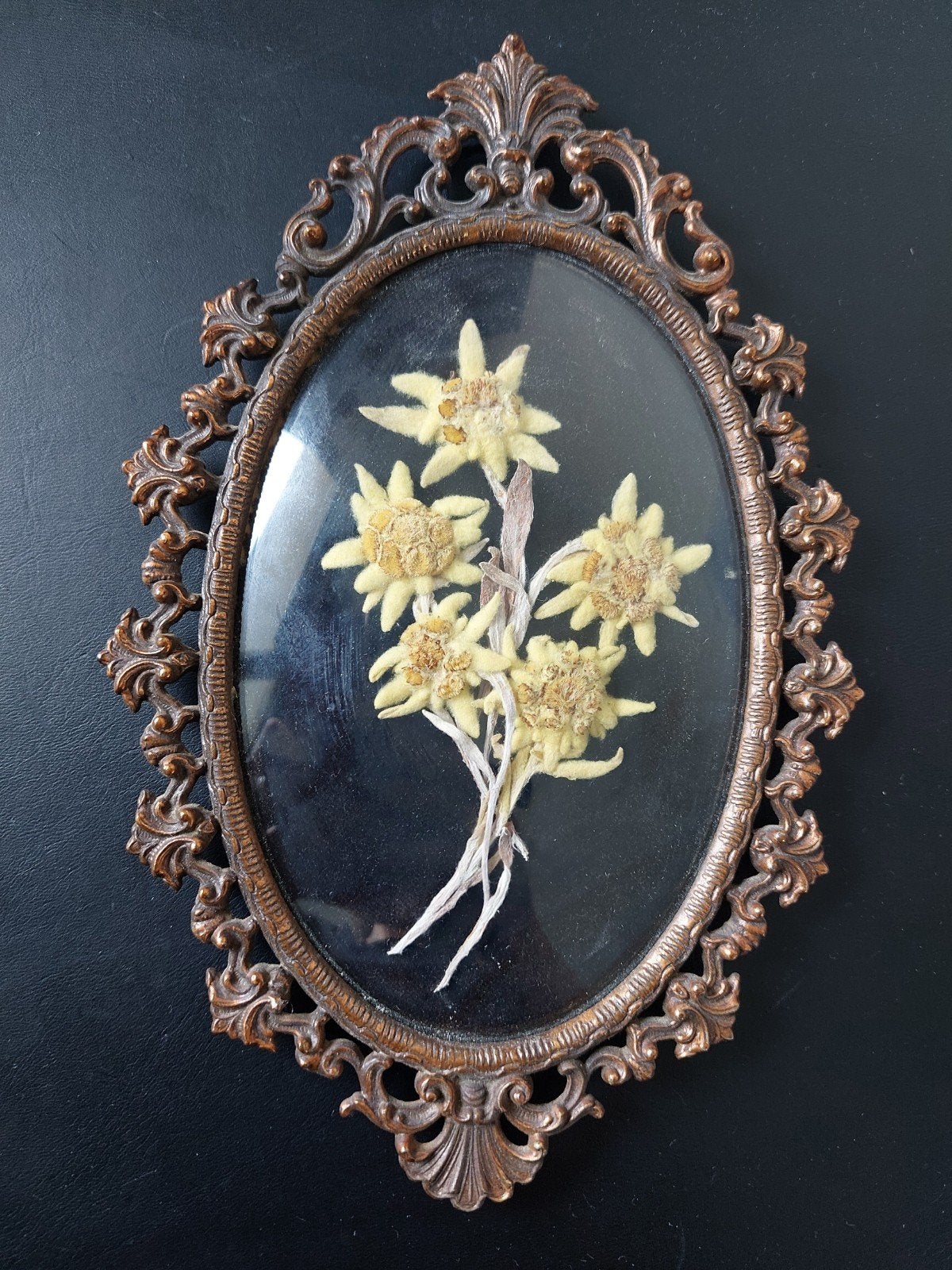 Vintage Edelweiss in lijst - Oostenrijkse souvenir, Ophalen of Verzenden