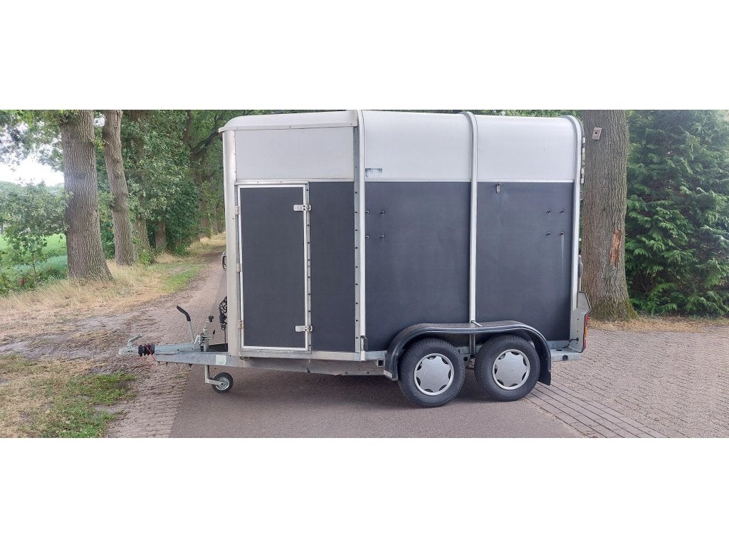 IFOR Williams Trailer alu bodem vooruitloop, Gebruikt, Hout, 2-paards trailer