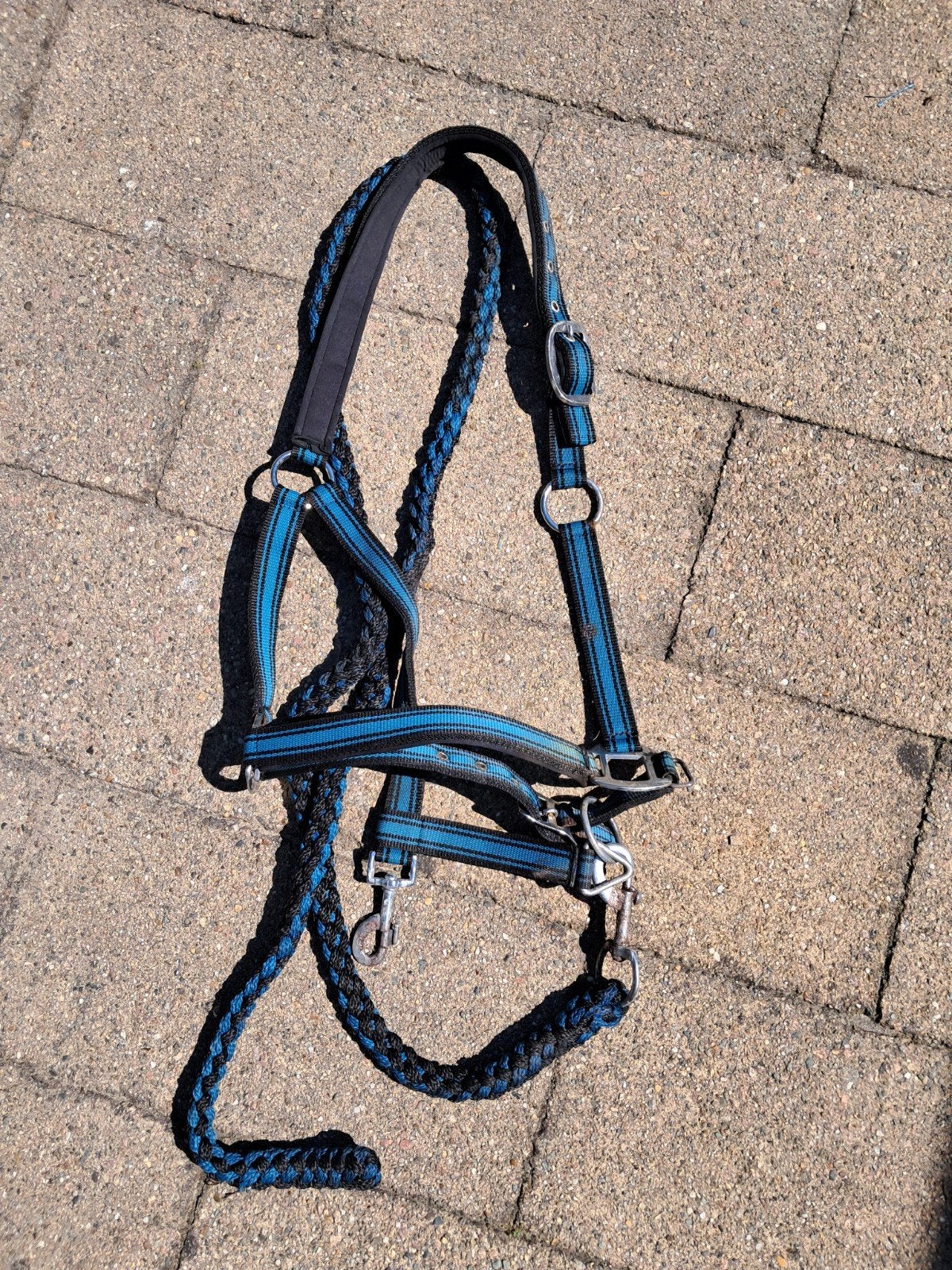 Halster met touw, maat cob. 7,50 euro, Ophalen of Verzenden, Halster, Cob