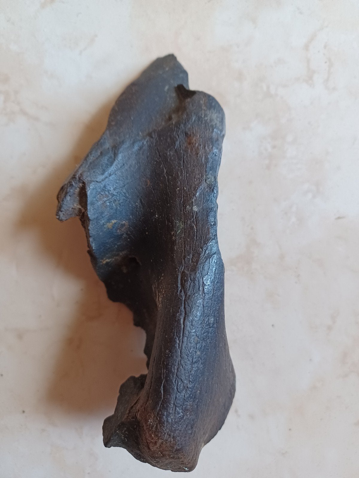 Uniek fossiel botfragment - Prehistorische vondst, Ophalen