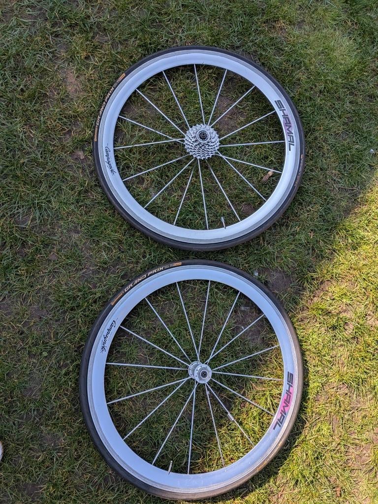 Zeldzame Campagnolo Shamal 650c wielen - uitstekende staat, Fietsen en Brommers, Fietsonderdelen, Ophalen of Verzenden, Zo goed als nieuw