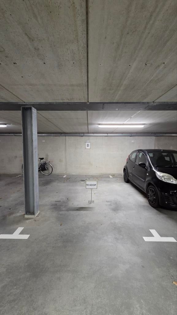 Parkeerplaats in parkeergarage Parc Houtzicht (centrum), Huizen en Kamers