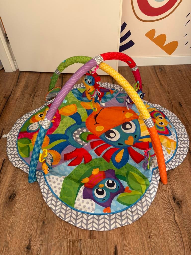 Zeer vrolijk Playgro speelkleed met geluid, Kinderen en Baby's, Ophalen, Zo goed als nieuw