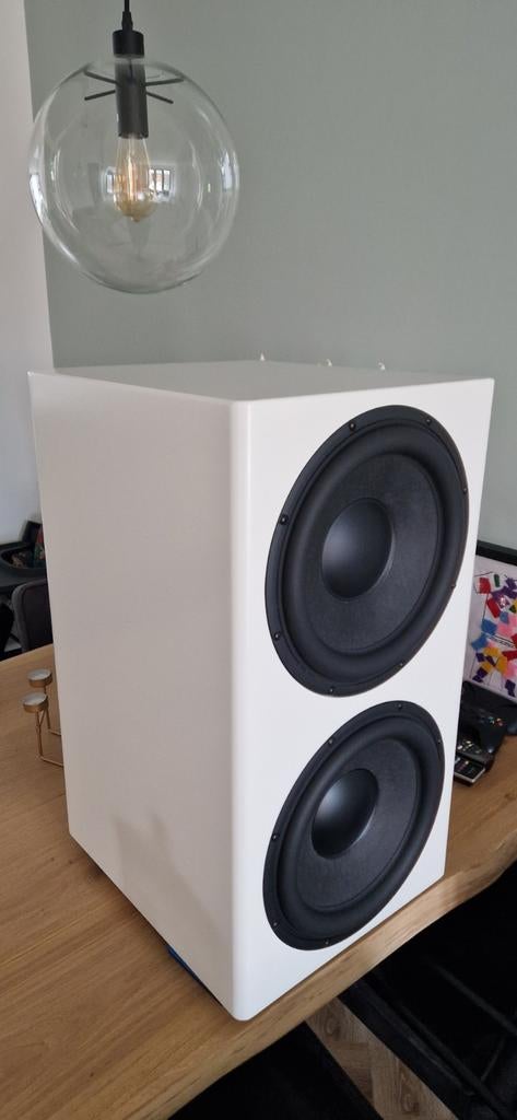 Te Koop high end subwoofer hypex peerless 12inch, Audio, Tv en Foto, Luidsprekers, Subwoofer, 120 watt of meer, Overige merken